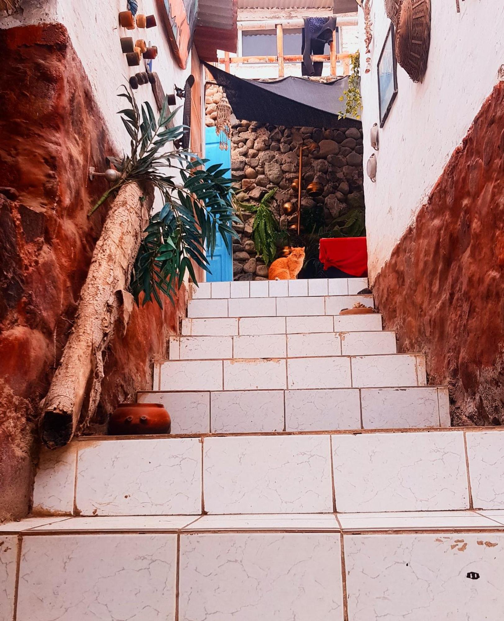 Apartmán Huanchaco Surf Camp Exteriér fotografie